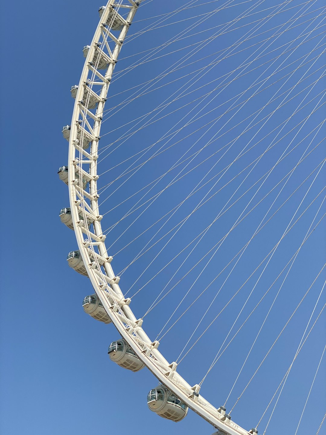 The View At The Palm